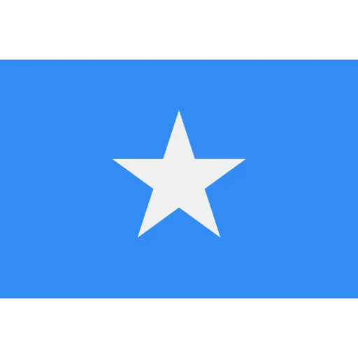 AL-Amanah Islamischer Bestattungsverein Bonn e. V - Trauerfeier - Somalia-Flagge